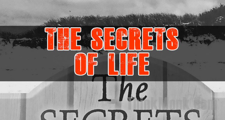 The Secrets of Life by Stuart Wilde