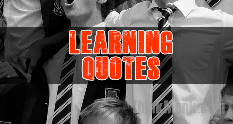 Famous Learning Quotes