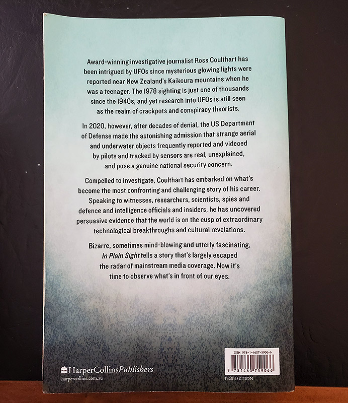 Back Cover of In Plain Sight Book
